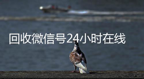 回收微信号24小回收微信平台时在线秒结（回收微信号网站）